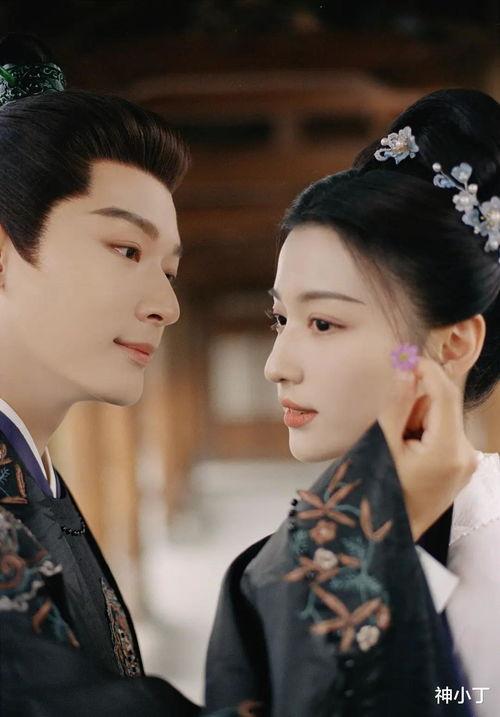 极品国产视频,极致视听盛宴，带你领略国产视频的魅力